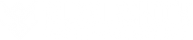 Muscleshock Logo – Unser Ziel: Dein Fitness-Erfolg