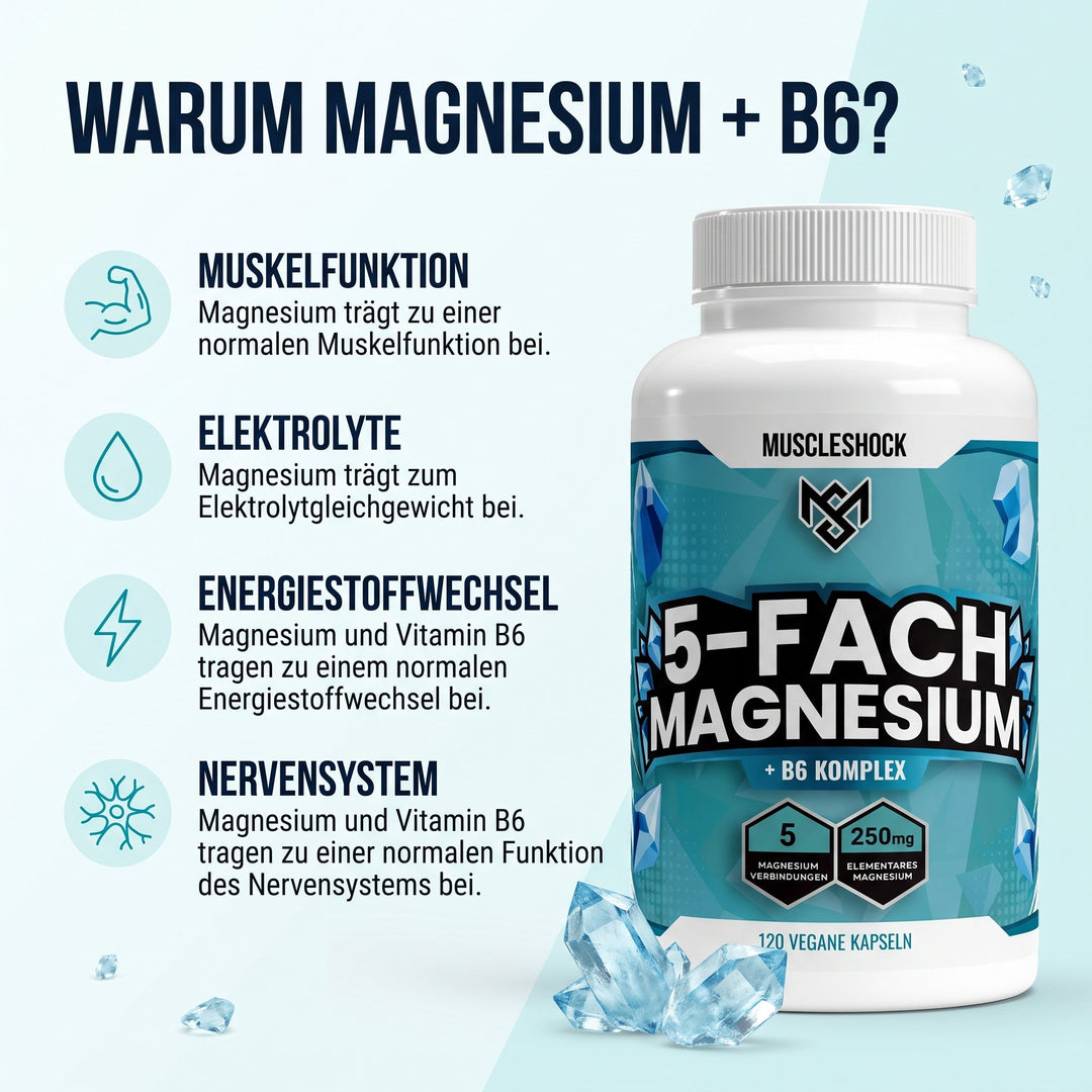 5-fach Magnesium Komplex + B6 – Warum Magnesium + B6: Muskelfunktion, Elektrolyte, Energiestoffwechsel, Nervensystem