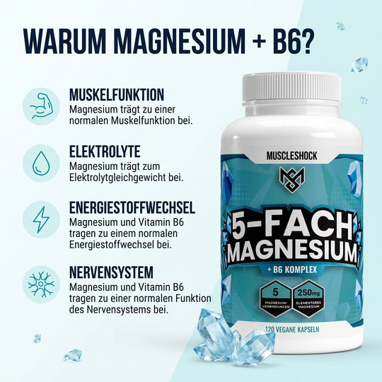 5-fach Magnesium Komplex + B6 – Warum Magnesium + B6: Muskelfunktion, Elektrolyte, Energiestoffwechsel, Nervensystem